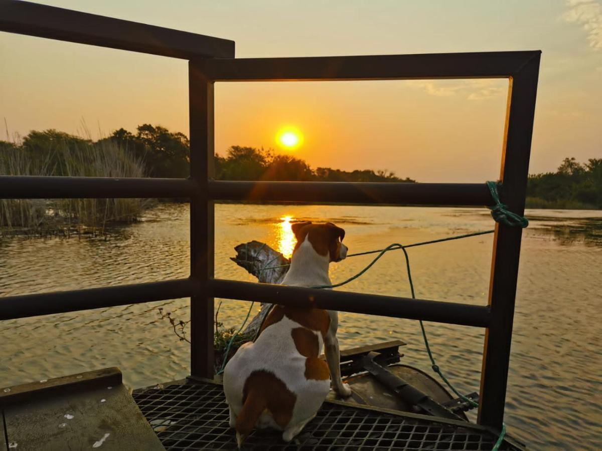 Hippo Retreat & Tiger Fishing Komatipoort Exterior photo